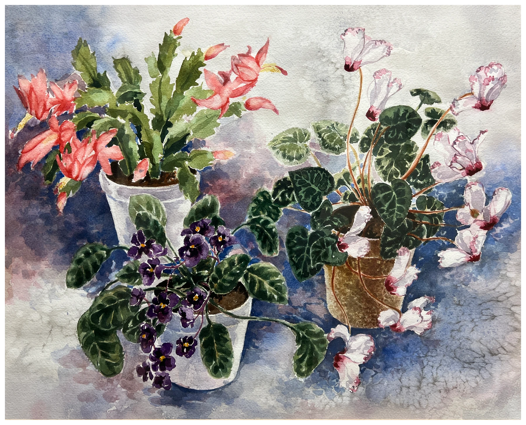 A colorful gathering of flowering houseplants, painted by Sally Bartalot