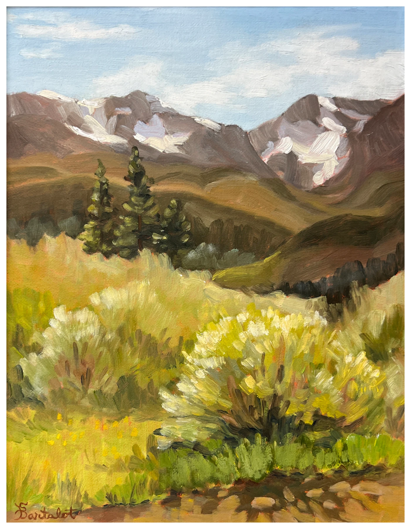 Mountain foothills and wildflowers west of Denver, painted by Sally Bartalot